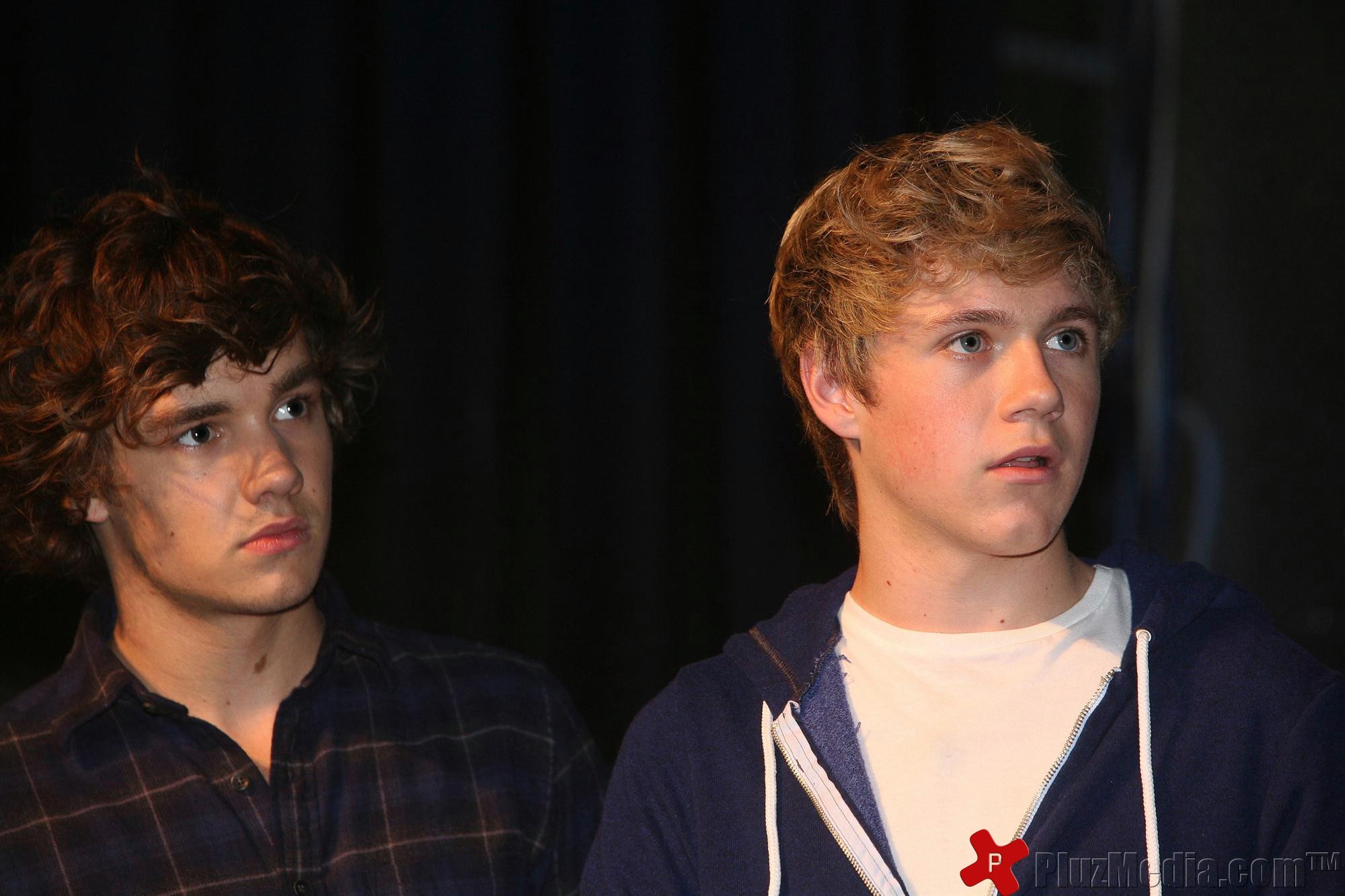 One Direction attends a fan event at the Hotel Arena | Picture 95490